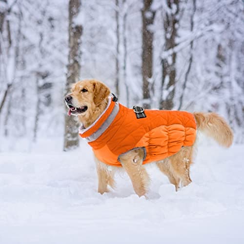 Lelepet Dog Coat Warm Dog Winter Coat Waterproof Dogs Jacket with Harness Built in Reflective Pet Fleece Vest Zip-Up Cold Weather Coats for Large Dogs Turtleneck Windproof Coats Boxer Blaze Orange XL — view 5