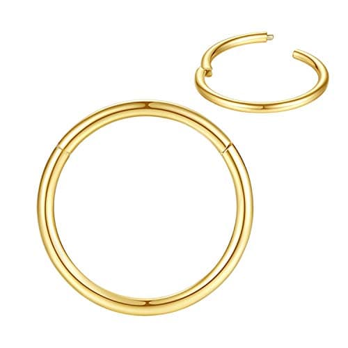 8mm Septum Ring Gold Nose Rings Hoop 18 Gauge Nose Hoop Helix Daith Tragus Earrings Hinged Segment Septum Clicker Lip Rings 18g Cartilage Earring Nose Piercing Jewelry Surgical Steel