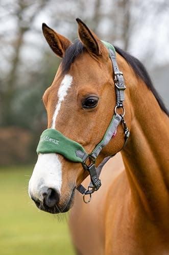 LeMieux Vogue Fleece Headcollar - Halter & Leadrope (Hunter Green - Cob)