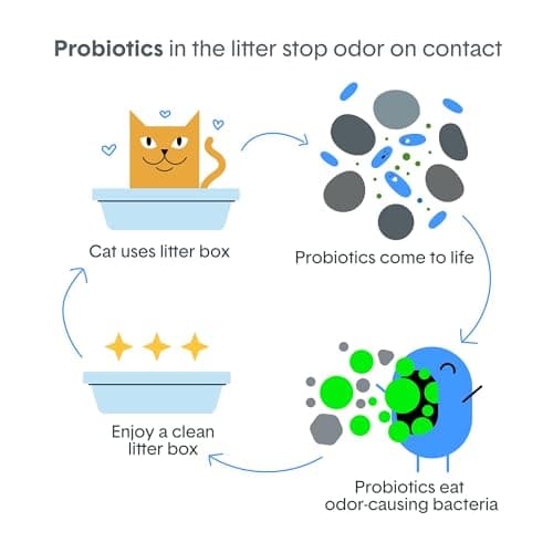 Boxie® Probiotic Cat Litter 40 Day Natural Odor Control, 16lb Clumping Kitty Litter (Clay) — view 5