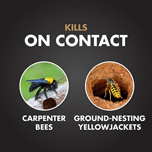 Spectracide Carpenter Bee And Ground-Nesting Yellowjacket Killer Foaming Aerosol 16 Ounces, Expands To Where Insects Live, Yellow — view 2