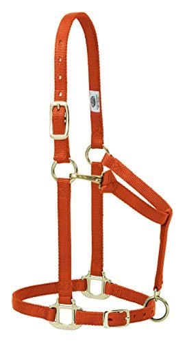 Weaver Leather Original Adjustable Nylon Horse Halter, Average Horse, Orange — view 2