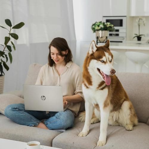 HP 15.6 Touchscreen Laptop Computer • 2026 Edition • Intel 6 Cores i3 CPU • 8GB RAM • 256GB SSD • Windows 11 with Office 365 for The Web • w/o Mouse — view 5