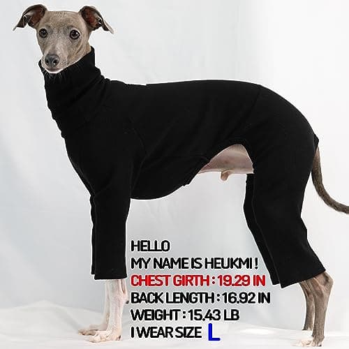 D Doggy Star Italian Greyhound Clothes Stretchable Onesie Whippet for Dog (L,Ribbed Black)