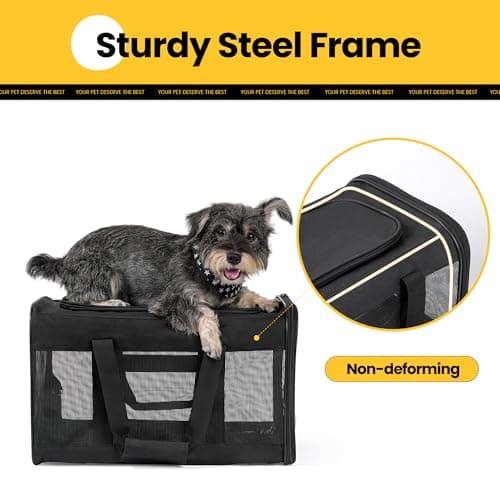 Conlun Cat Carrier Airline Approved, Soft-Sided Dog Carrier with Inner Safety Leash, Pet Transport Carrier for Small-Medium Cats Puppies up to 15 Lbs, Collapsible Travel Kitten Carrier Bag -Black M — view 8
