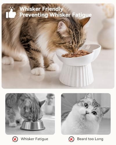 Wellbro Elevated Cat Food Bowl, Ceramic Titled Whisker Friendly, 5.3in Wide — view 3
