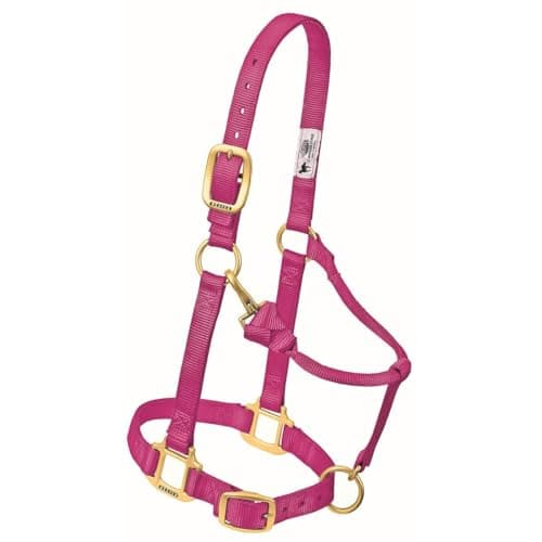 Weaver Leather Original Adjustable Nylon Horse Halter, Purple, Arabian/Cob — view 7