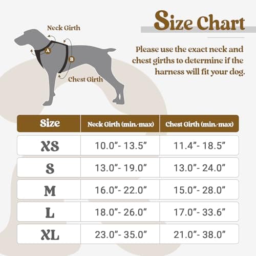 rabbitgoo Dog Harness, No-Pull Pet Harness with 2 Leash Clips, Adjustable Soft Padded Vest, Reflective No-Choke Pet Oxford Vest with Easy Control Handle for Large Dogs, Black, L