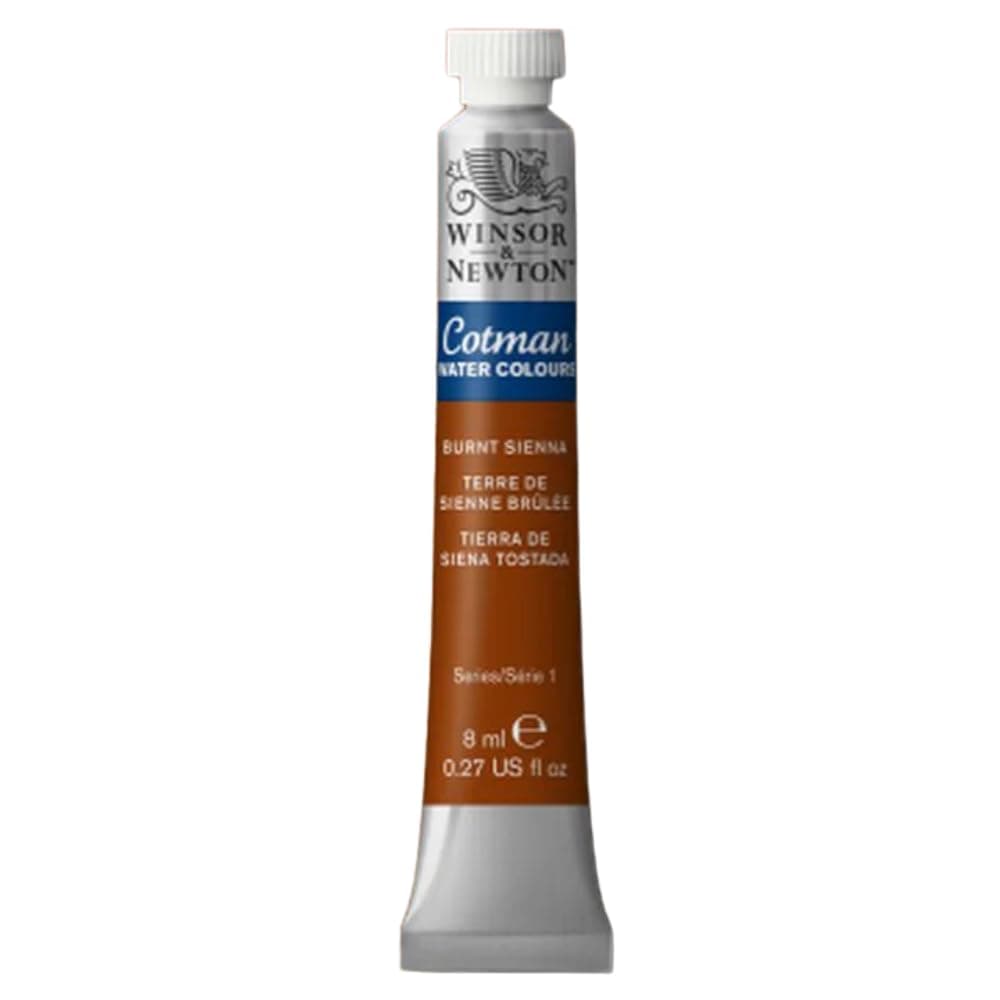 Winsor & Newton Cotman Acuarela En Pastilla, Grís De Payne, 1,9x1,6x1,1 cm — view 123