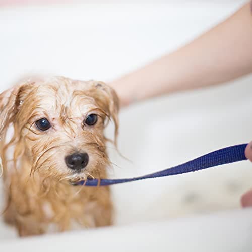 ATICNECH Slip Lead Dog Leash - 10 pcs Colorful 6 FT Short Dog Leashes with O-Ring for Small Large Dogs Puppy Cats Walking Training Running Rescues Grooming Shelter,etc. — view 5