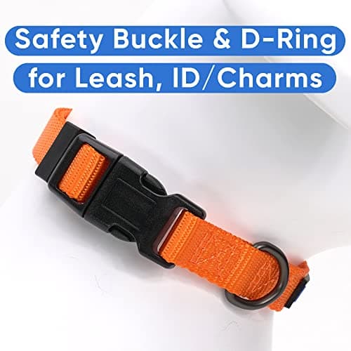 Pawtitas Dog Collar Extra Small Solid Color Dog Collar Adjustable Puppy Collar Orange Dog Collar Matching Dog Leash and Dog Harness Available — view 2
