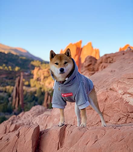 ChoChoCho Pup Dog Hoodie, Dog Sweater, Fashion Dog Clothes, Pet Clothing Cotton Cat Hoodies Stylish Streetwear Sweatshirt Gray Tracksuits Outfit for Dog Cat Puppy Small Medium Large (L) — view 3