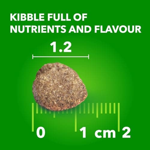 IAMS Proactive Health Minichunks Dry Dog Food – Crunchy Kibble for Adult Dogs – Chicken & Whole Grain Recipe – 1.50KG (3.3LB) Bag — view 8
