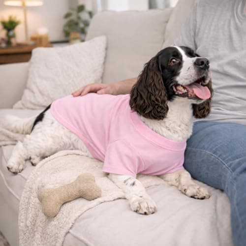 Lovelonglong Bulldog Clothes Dog Clothing Blank T-Shirt Tee Shirts for French Bulldog English Bulldog American Pit Bull Pugs 100% Cotton Skin Care Pink B-M — view 7
