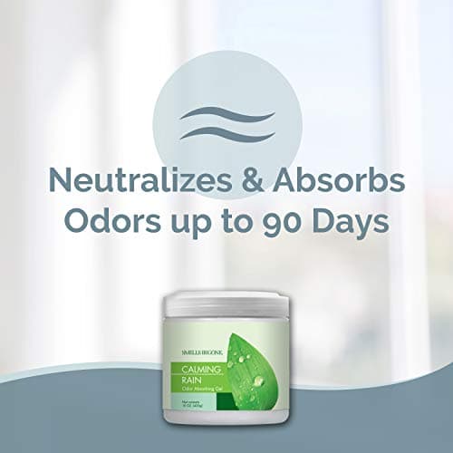 SMELLS BEGONE 15oz Gel Odor Eliminator - Absorb & Remove Tough Odors in Pet Areas, Bathrooms, Basements, Garage, Cars, RVs & Boats - Eliminate Odors Quickly (1-Pack, Calming Rain)