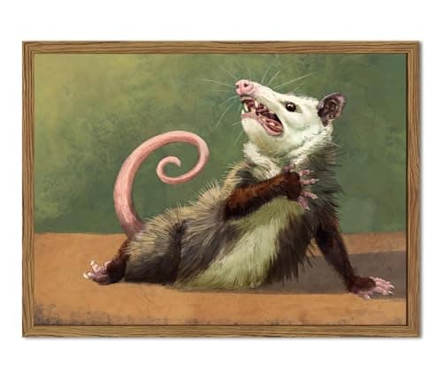 Funny Opossum Wall Art, Whimsical Possum Wall Decor Painting Cute Animal Poster Canvas Prints Picture for Bedroom Living Room 12x16 inch Wood Framed