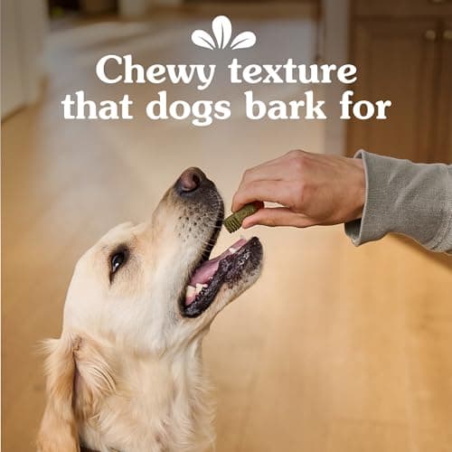 Greenies Anytime Bites Dog Treats, Blueberry Flavor, Dog Training Treats, 10.3 oz. Bag — view 5