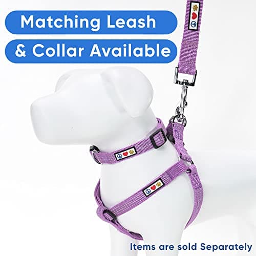 Pawtitas Reflective Step-in Dog Harness – Adjustable No-Pull Vest for Puppies to Seniors, Safe & Comfortable, S Orchid — view 5