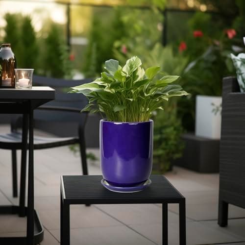 SUNPOTFOR Ceramic Plant Pot - 8 Inch Planter for Indoor Plants Outdoor Flower Pot with Drainage Hole and Saucer Home Patio Office Decor Blue — view 3