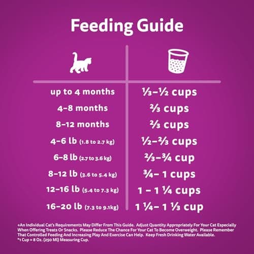 WHISKAS Kitten Food - Dry Cat Food with Real Chicken, For Kittens 1-12 Months, 1.5 kg Bag — view 5
