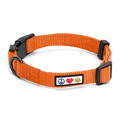 Pawtitas Dog Collar Extra Small Solid Color Dog Collar Adjustable Puppy Collar Orange Dog Collar Matching Dog Leash and Dog Harness Available