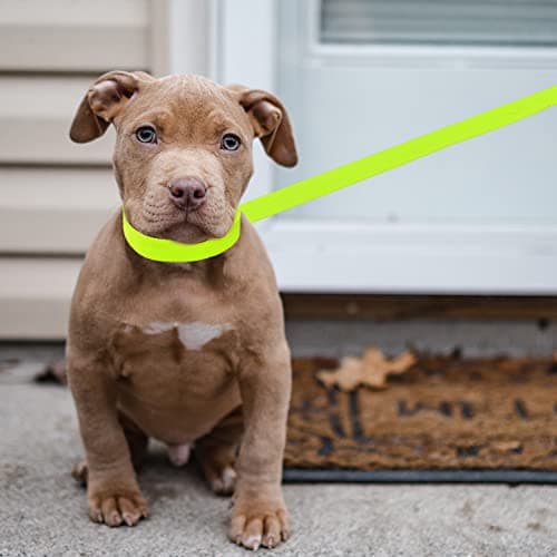 ATICNECH Slip Lead Dog Leash - 10 pcs Colorful 6 FT Short Dog Leashes with O-Ring for Small Large Dogs Puppy Cats Walking Training Running Rescues Grooming Shelter,etc. — view 4