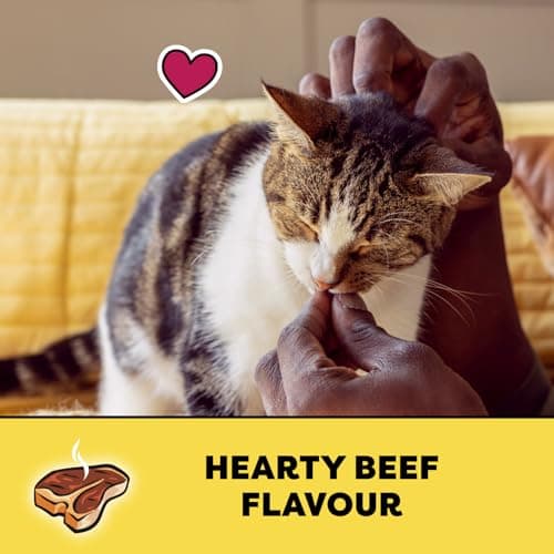 TEMPTATIONS Cat Treats, Hearty Beef Flavour, 350g Pouch — view 2