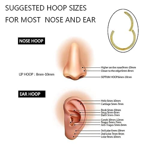 5pcs Hypoallergenic Nose Rings 20G 18G 16G 316L Surgical Steel Earrings Tragus Septum Piercing Nose Hoop Lip Rings Helix Cartilage Rook Earrings for Women Men 6/7/8/9/10mm (5PCS 20G Gold) — view 2