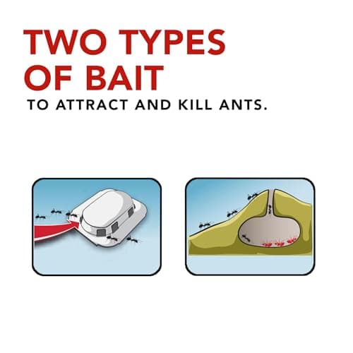 Raid Ant Killer Baits and Traps, Kills Ants Where They Breed, For Indoor Use, Child Resistant, 4 Bait Stations — view 3