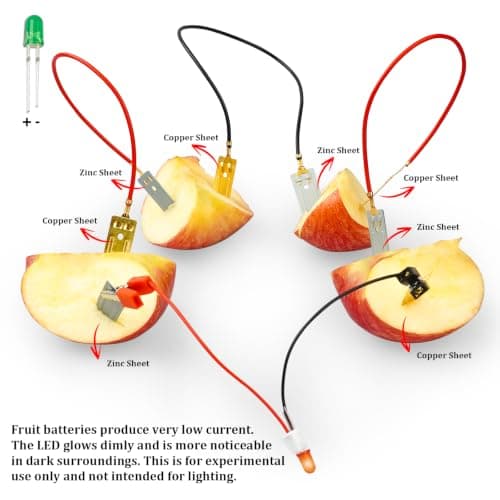 6 Pack Fruit Battery Science Kits for Kids Ages 8-12, Bulk STEM Kits 8-10 — view 2
