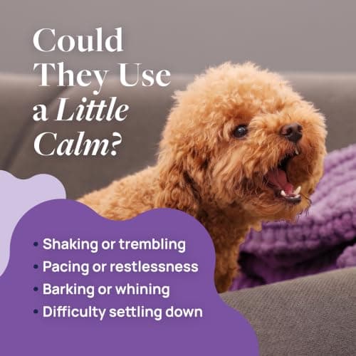 Veterinary Formula Pet Calm 60ct – Vet-Formulated Calming Chews for Dogs with L-Theanine, L-Tryptophan for Behavior Support, Relaxation Treats, Puppy Chews for Stressful Situations, Dog Calming Aid — view 2