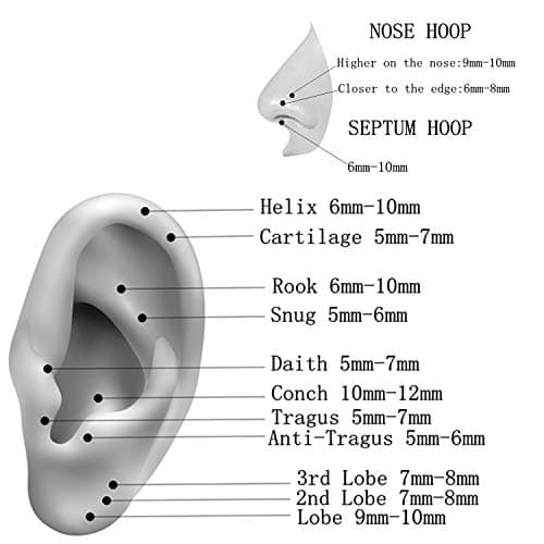 8mm Septum Ring Silver Nose Rings Hoop 18 Gauge Nose Hoop Helix Daith Tragus Earrings Hinged Segment Septum Clicker Lip Rings 18g Cartilage Earring Nose Piercing Jewelry Surgical Steel — view 3