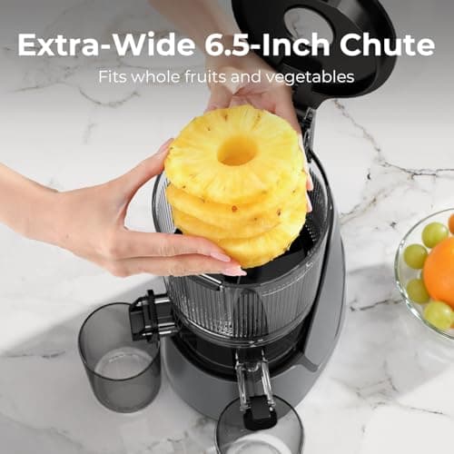 EanOruus Juicer Machines, 3-in-1 Cold Press Juicer with 6.5" Extra Large Chute, 100oz Large Capacity, AC Motor, Makes Juice, Nut Milk & Sorbet, Premium Gray — view 3