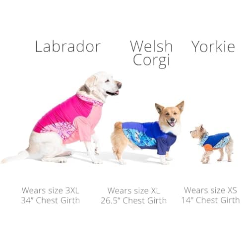 PlayaPup Dog Sun Shirt, USA Made (UPF 50+), Ola, X-Large — view 3