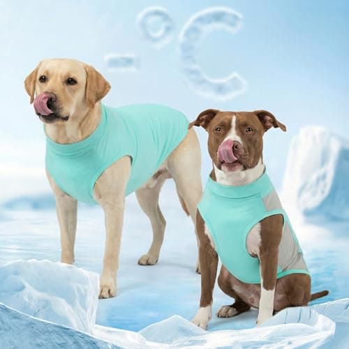 KYEESE 2Pack Dog Cooling Shirt with UPF 50+ UV Protection, Blue, 2XL — view 5