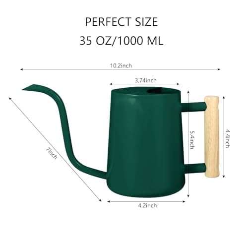 Watering Can Indoor Plants, 35oz Small Watering Can Indoor Stainless Steel Metal Watering Can Modern Decorative Watering Pot with Long Spout for Indoor House Plant Bonsai Garden Flowers (Alpinegreen) — view 6