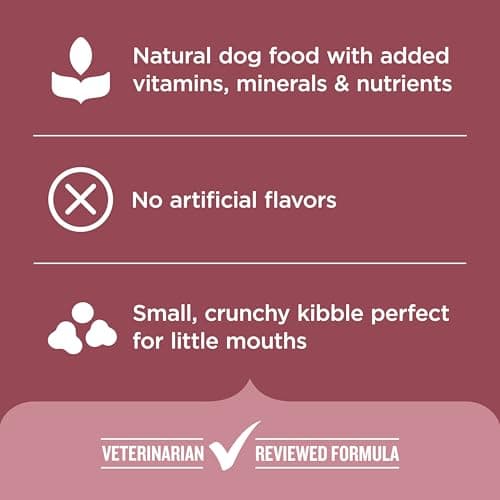 Nutrish Rachael Ray Dry Dog Food Small Breed Real Chicken & Veggies Recipe, 13 lb. Bag — view 4