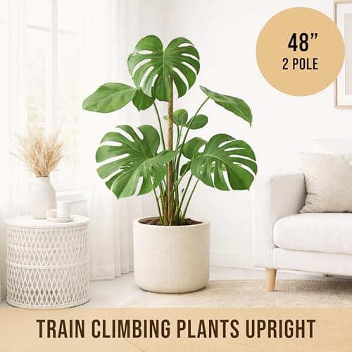Moss Pole Monstera Plant Support, 2 Pack 48in Bendable Indoor Plant Stakes — view 3