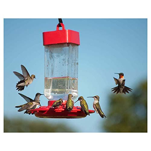 Kaytee Hummingbird ElectroNectar Wild Bird Food, Ready to Use, 64 Ounces — view 5