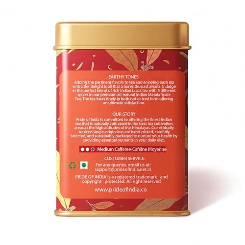 Pride of India | Chai Royale Exquisite Spiced Tea 1 oz (28.3 gm) | 15 Pyramid Full Leaf Individually Wrapped Tea Bags | 100% Natural Blend of Black Tea & Spices |Bold & Spicy Flavor — view 2