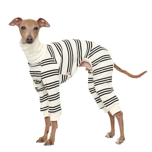 D Doggy Star Italian Greyhound Clothes Soft Stretchy Onesie Refined Stripe Outfit Whippet for Dog Coat (M,Onsi Black Str)