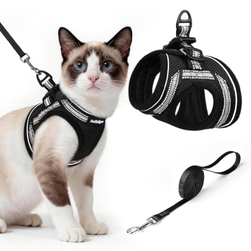 rabbitgoo Cat Harness and Leash Set, Step-in Soft Vest, Black