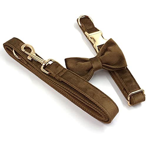 PETDURO Custom Dog Collar Personalized with Name Engraved Gold Metal Buckle for Large Medium Small Boy and Girl Dogs - Dog Leash and Bow Tie Set Available - Soft Comfy Velvet (Brown G, L) — view 8
