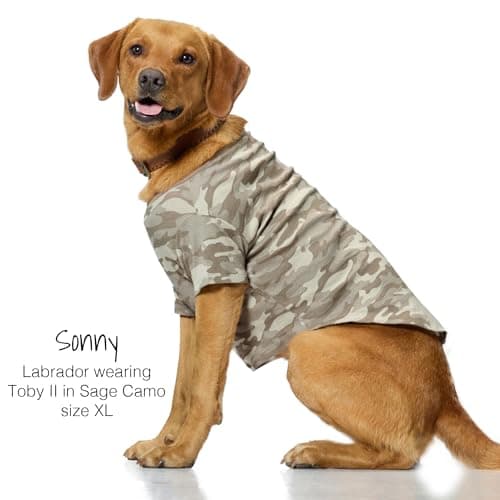 Pet Passion Toby II - The Perfect Tee, 3 Pack Short Sleeve Pet T-Shirt 100% Organic Cotton Tees Clothes for Small, Medium, Large Dogs​​, Sage Camo, Medium (20-45 lbs) — view 3
