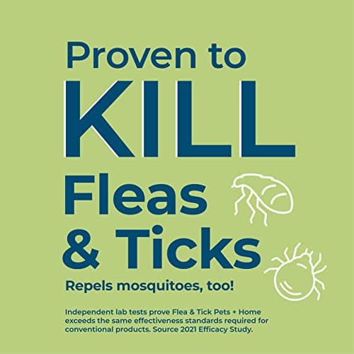 Wondercide - Flea, Tick & Mosquito Spray for Dogs, Cats, and Home - Flea and Tick Killer, Control, Prevention, Treatment - with Natural Essential Oils - Pet and Family Safe - Cedarwood 4 oz — view 2