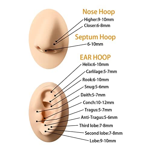D.Bella Hinged Nose Rings Hoop 316L Surgical Steel Hypoallergenic Septum Ring Lip Ring Helix Cartilage Rook Earrings Body Piercing Jewelry 16G, Diameter 8mm Black