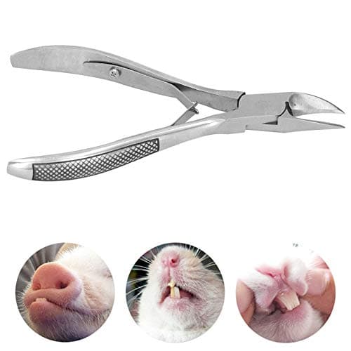 Stainless Steel Piglet Teeth Nippers – Multipurpose Animal Tooth and Nail Clipper – Veterinary Tool with Non Slip Handle for Farm — view 5