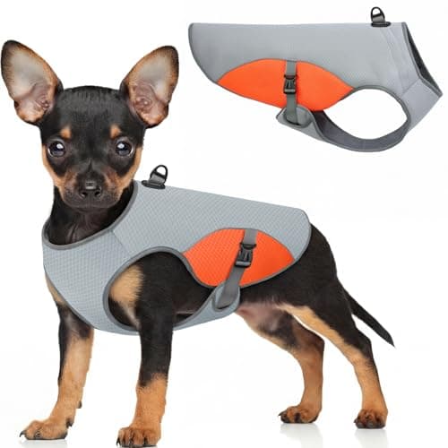 Preferhouse Dog Cooling Vest for Medium Dogs, Dog Cooling Jacket with Mesh and D Ring, Pet Reflective Stripe Jacket for Summer, Orange-M