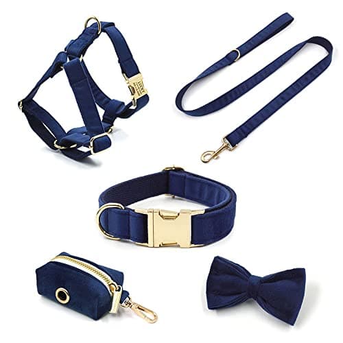 PETDURO Custom Dog Collar Personalized with Name Engraved Gold Metal Buckle for Large Medium Small Boy and Girl Dogs - Dog Leash and Bow Tie Set Available - Soft Comfy Velvet (Dark Blue, S) — view 3