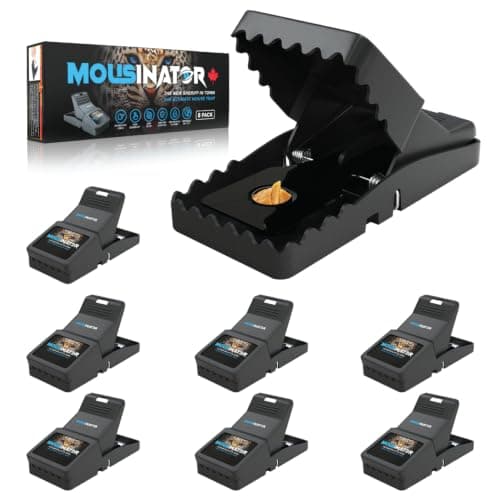 MOUSINATOR Mouse Trap | 8-Pack | Professional Mouse Snap Traps for Indoor & Outdoor Use | Easy to Set | Safe & Reusable | Easy to Clean | Effective Small Mice Catcher